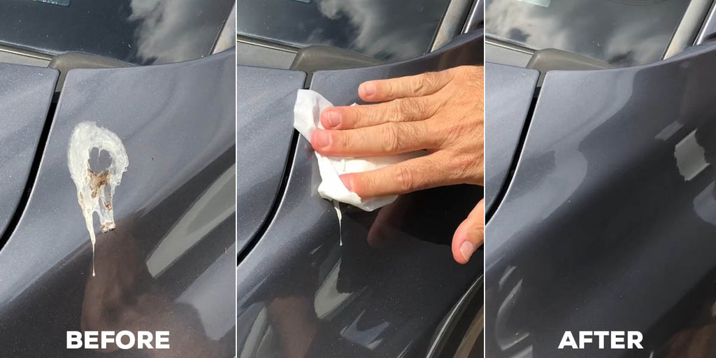 Removing Bird Poop